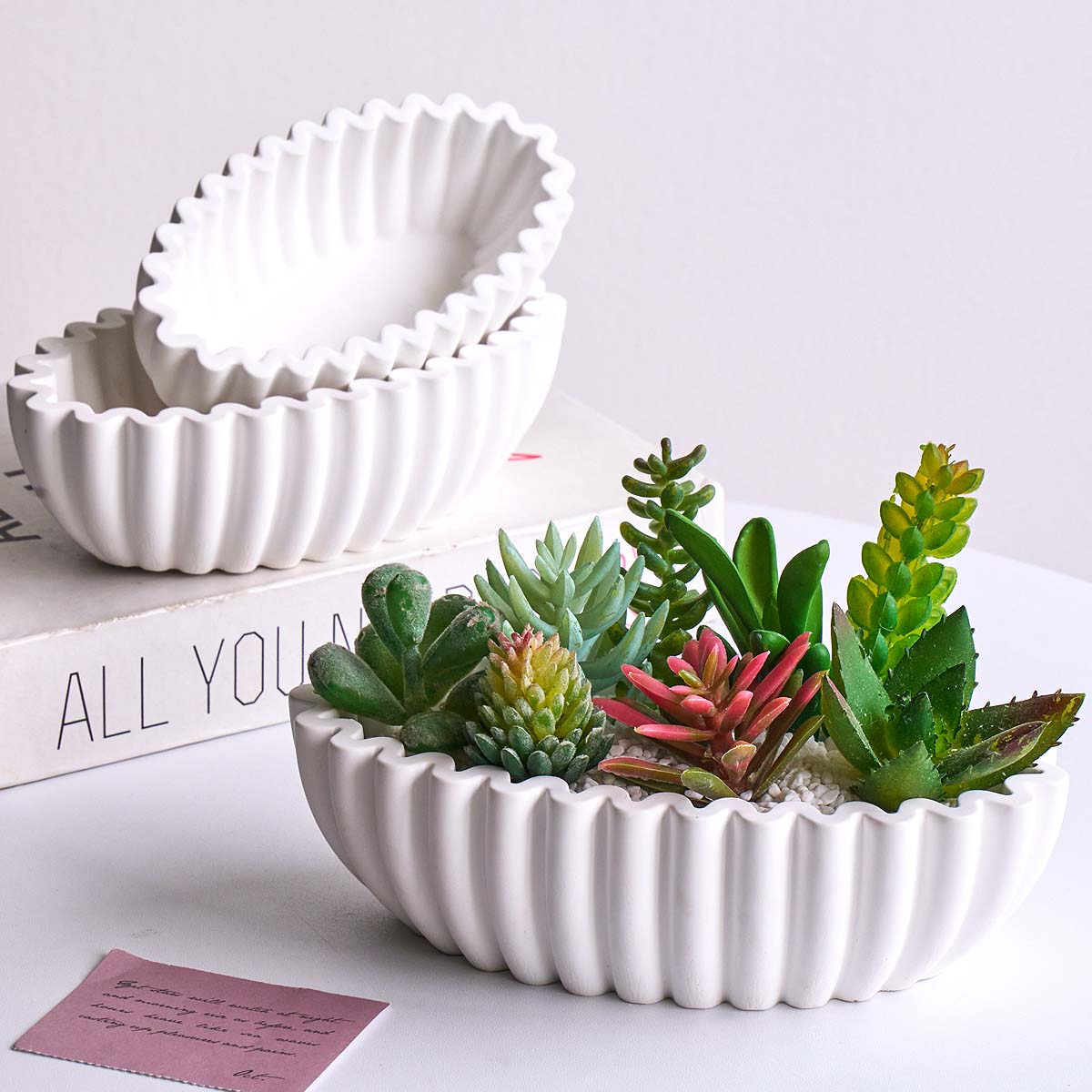 S/M/L Oval Striped Storage Bow – Potsticker Mold Bewertung und Preis